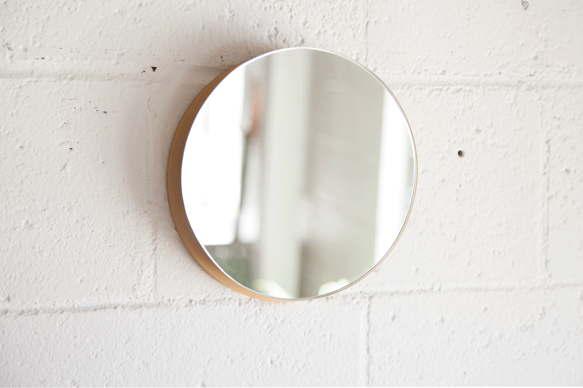 Adjustable Mirror Motion 5